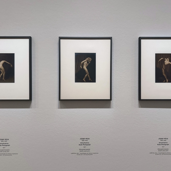 ‘Dance Images’ at Albertina Modern