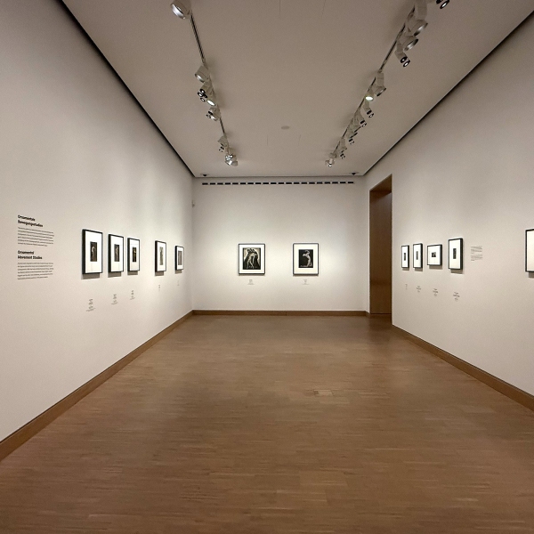 ‘Dance Images’ at Albertina Modern