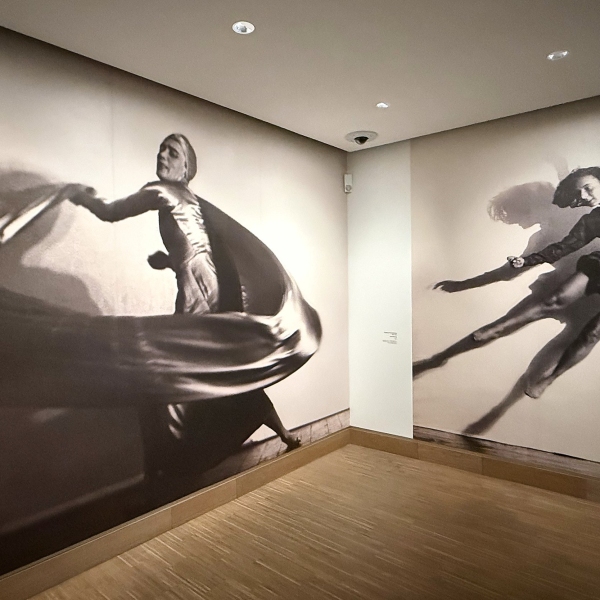 ‘Dance Images’ at Albertina Modern