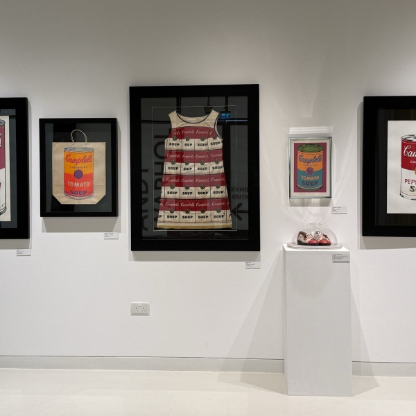 The Souper Dress