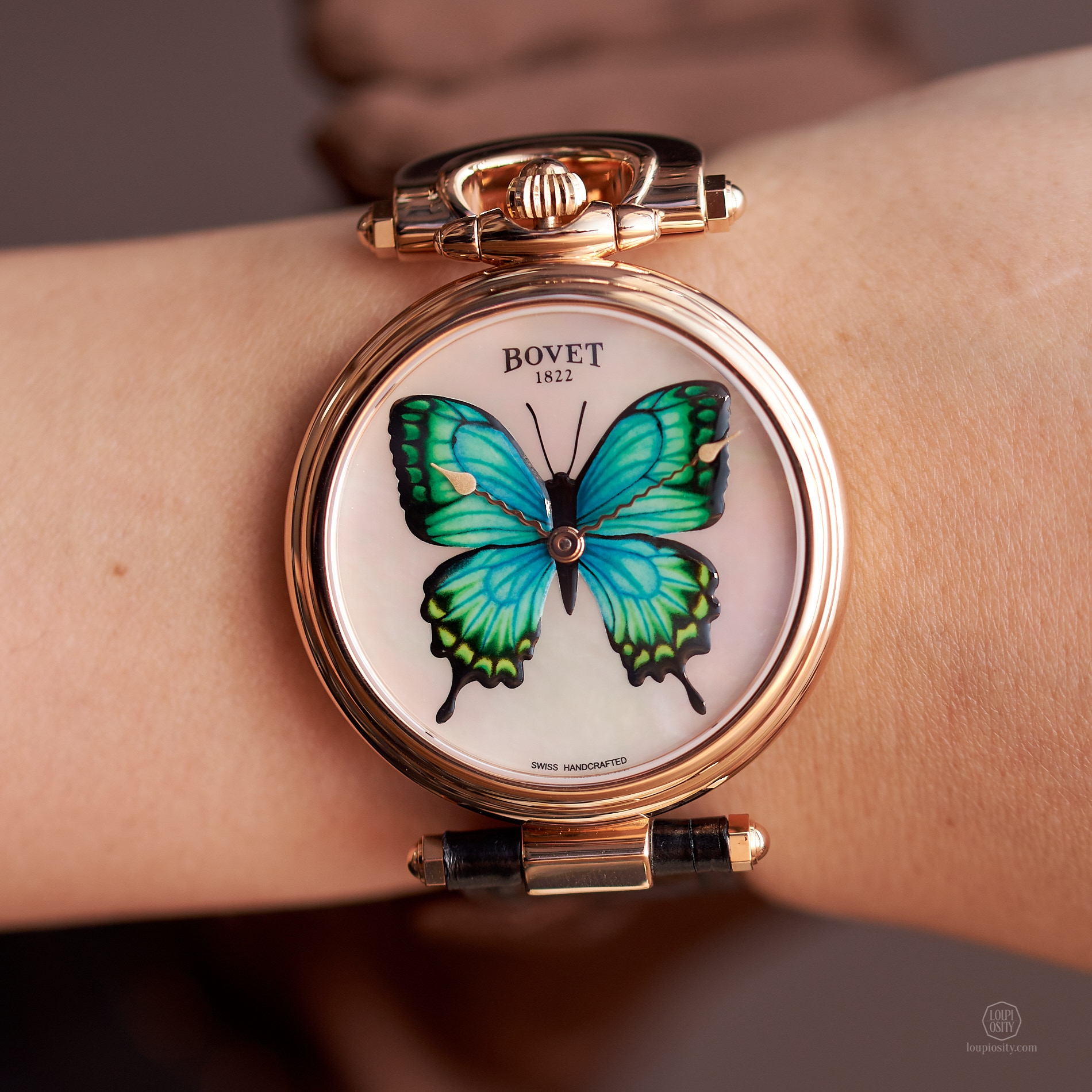 bovet_sihh2018_dsc0292