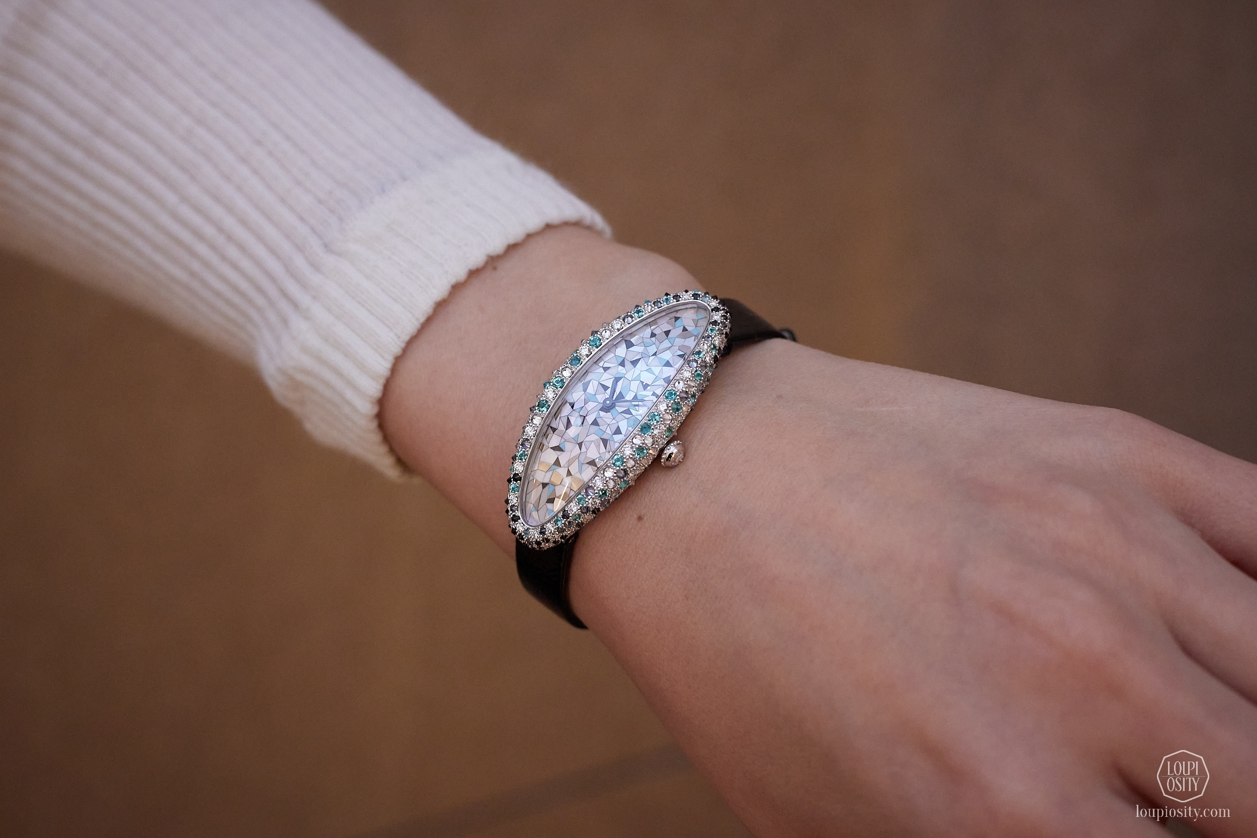Métiers d’Art Baignoire Allongée watch