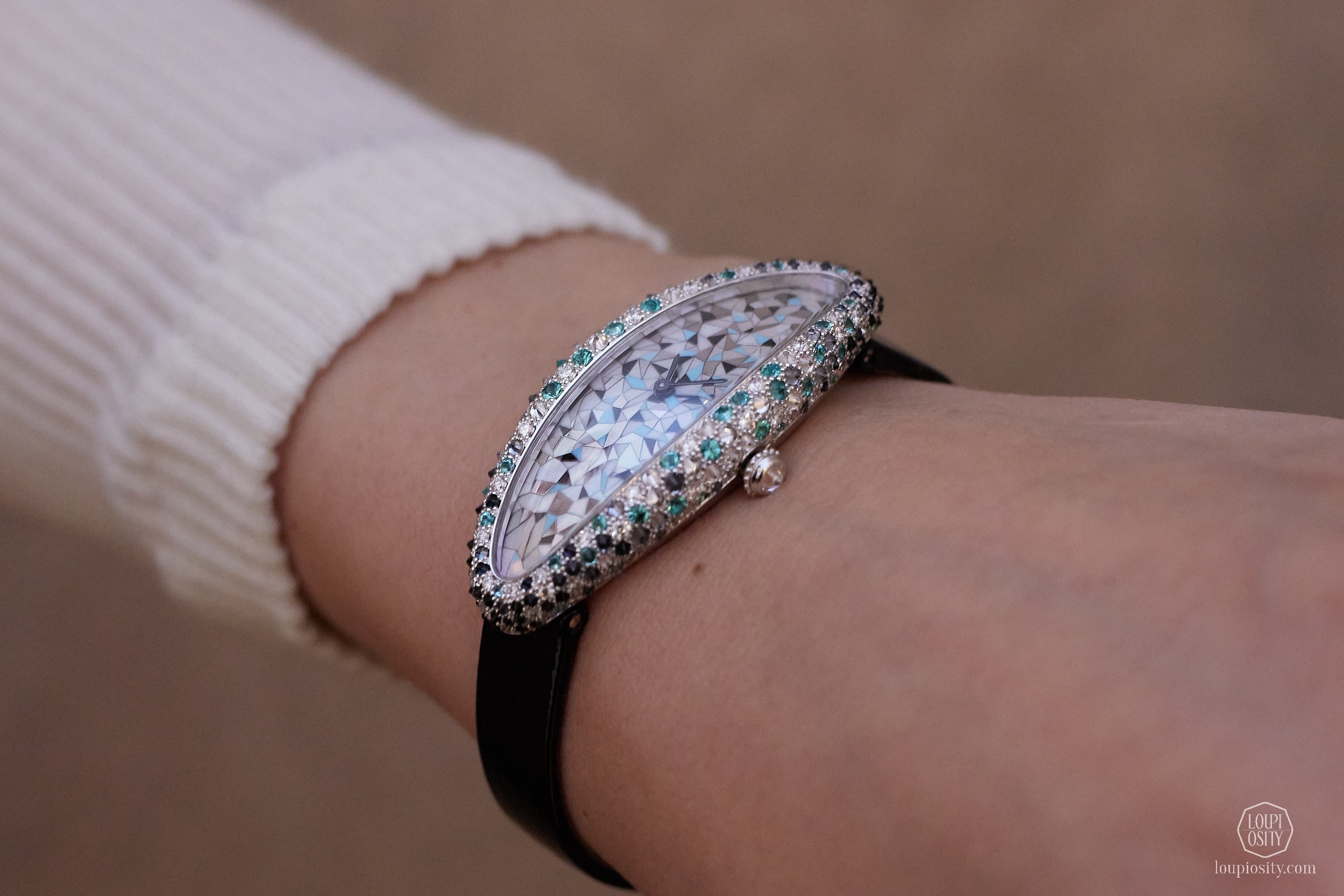 Métiers d’Art Baignoire Allongée watch