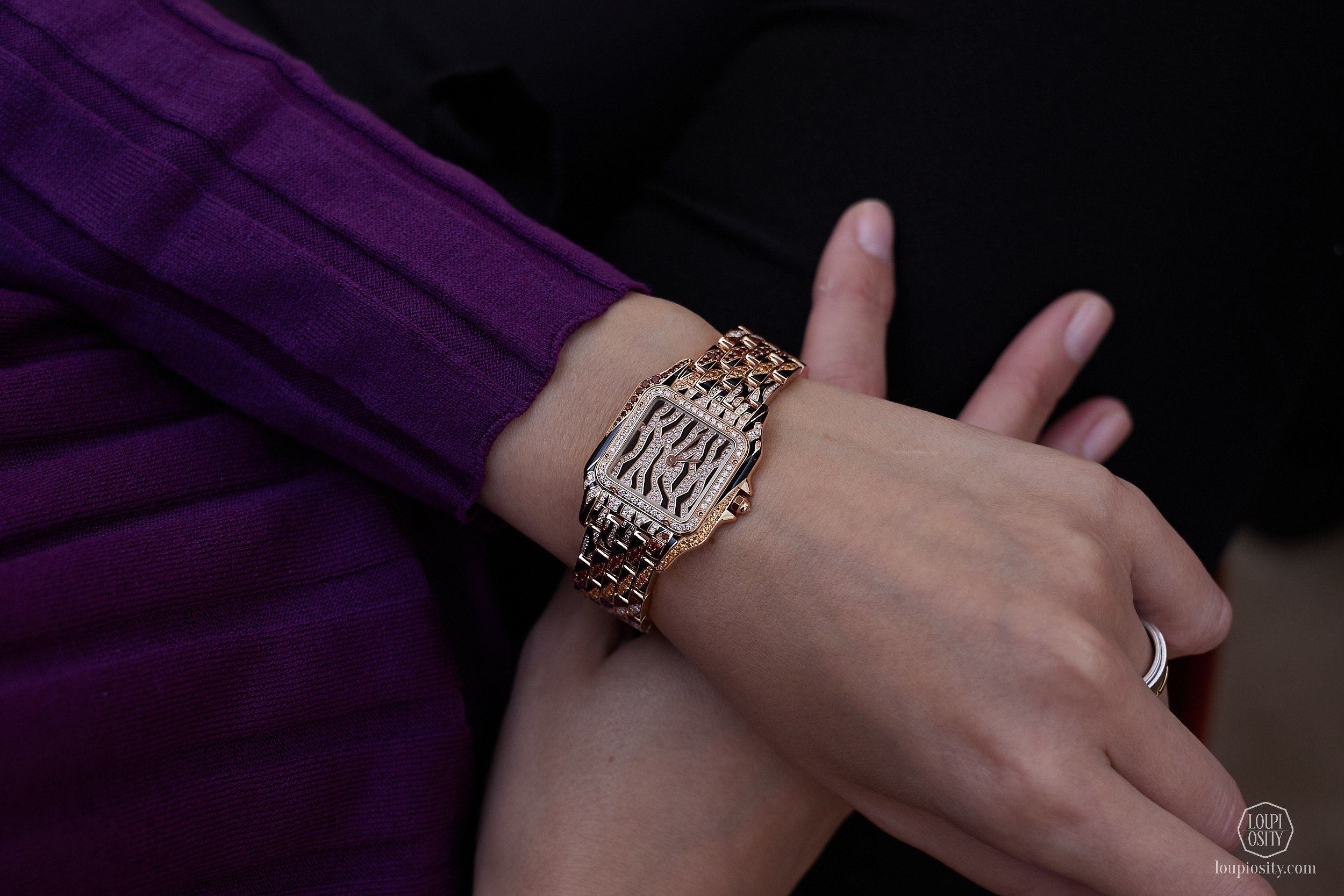 Cartier_WW25_R2A3326