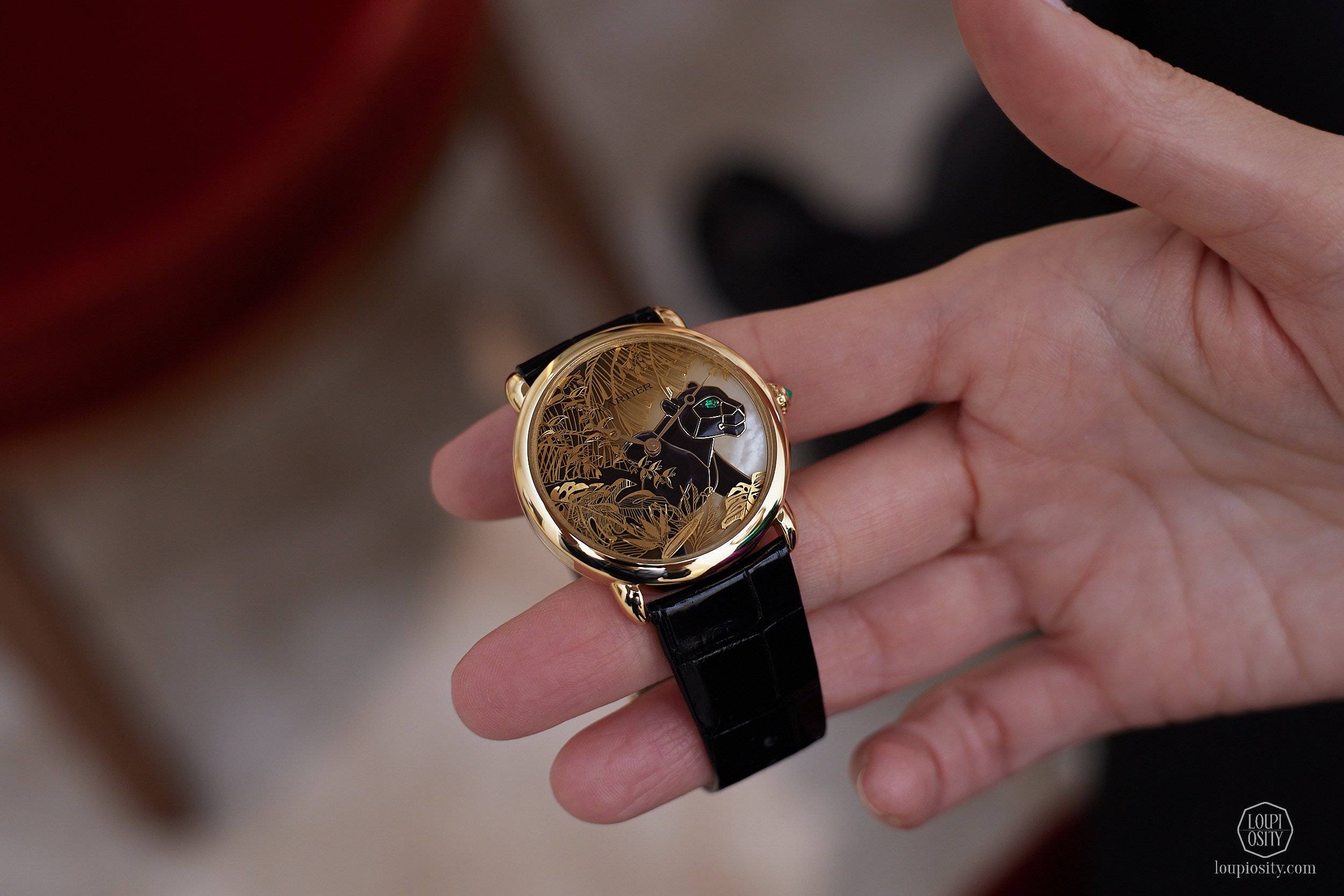 Cartier_WW25_R2A3284