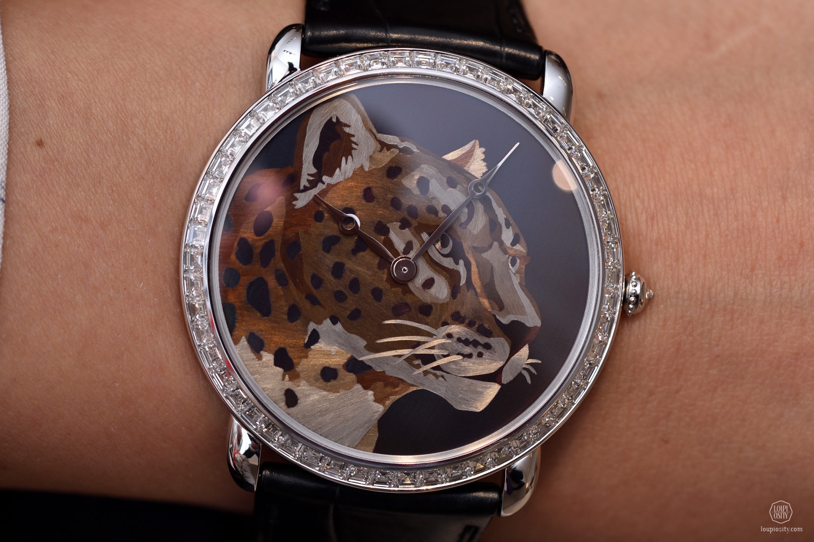Ronde Louis Cartier XL