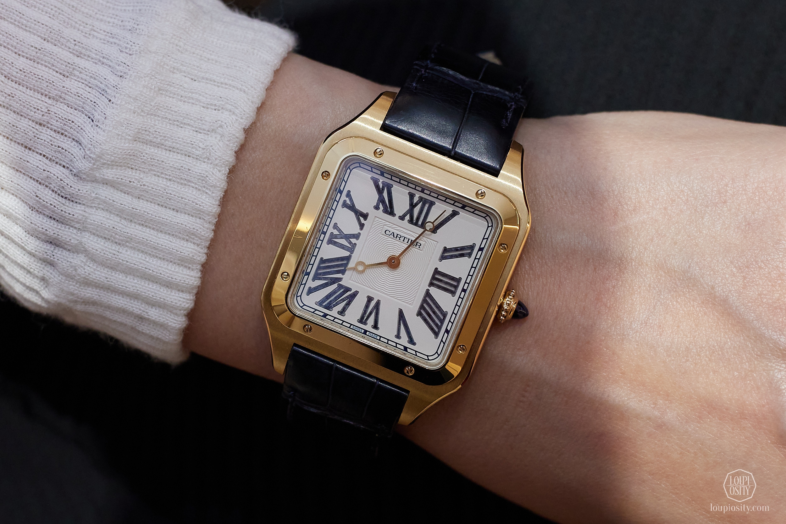 Cartier Tank - Watches and Wonders 2023 - Loupiosity.com in 2023