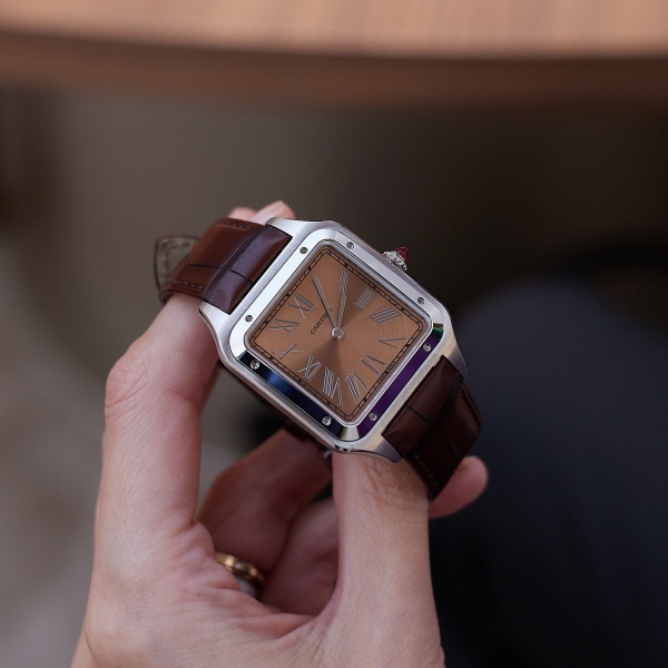Cartier_WW25_R2A3246
