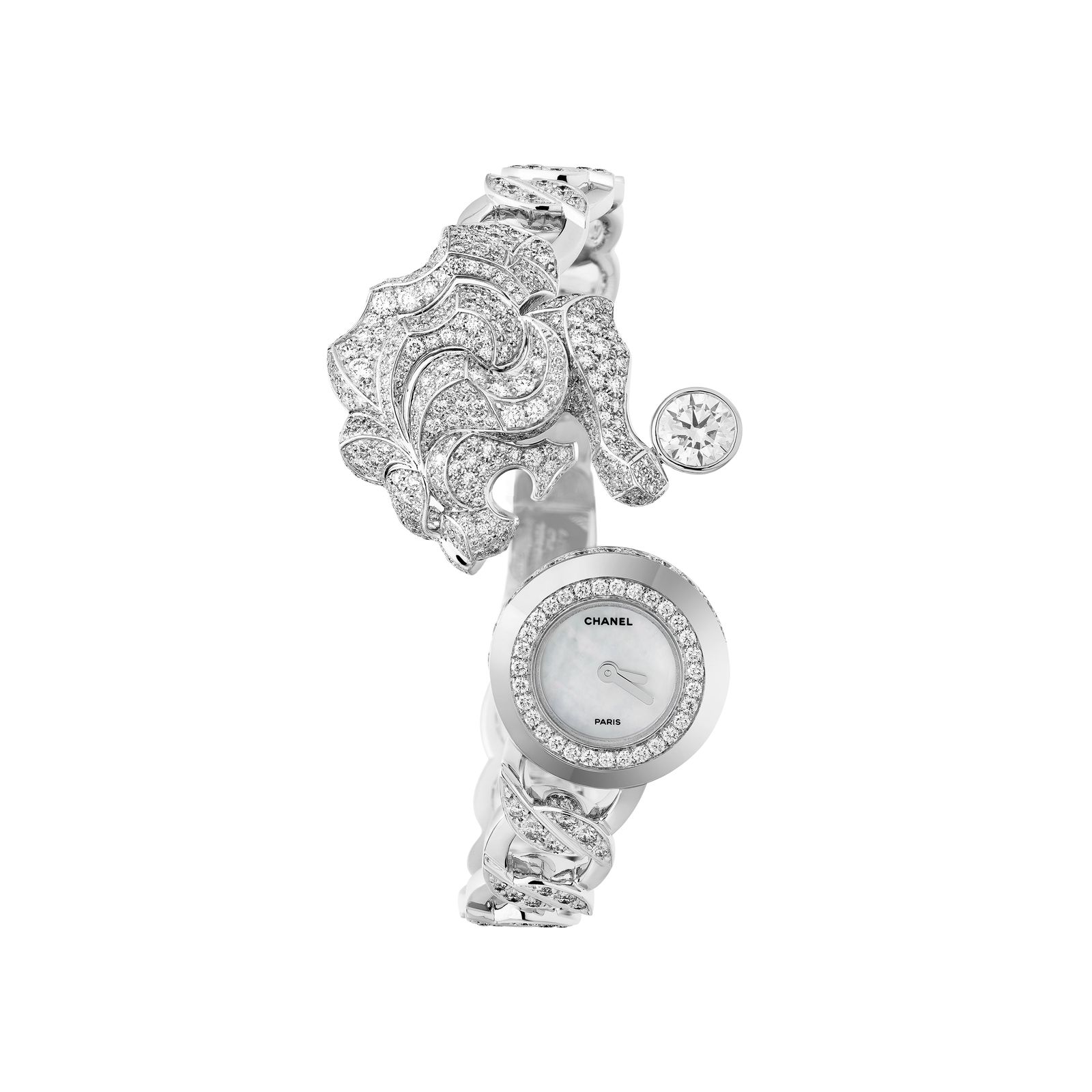 montre_protective