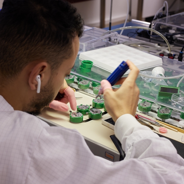 Frederique Constant Manufacture , T.1
