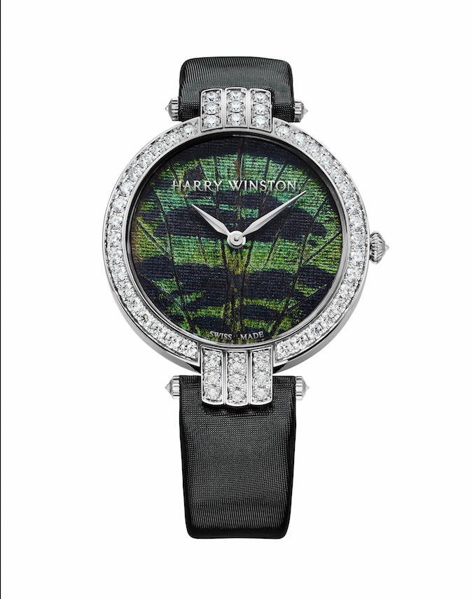hw_premiere_butterfly_green