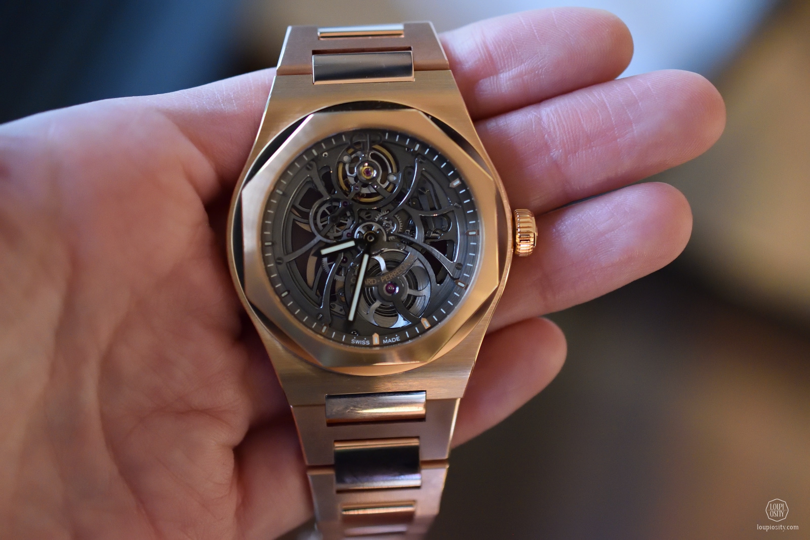 Laureato Skeleton