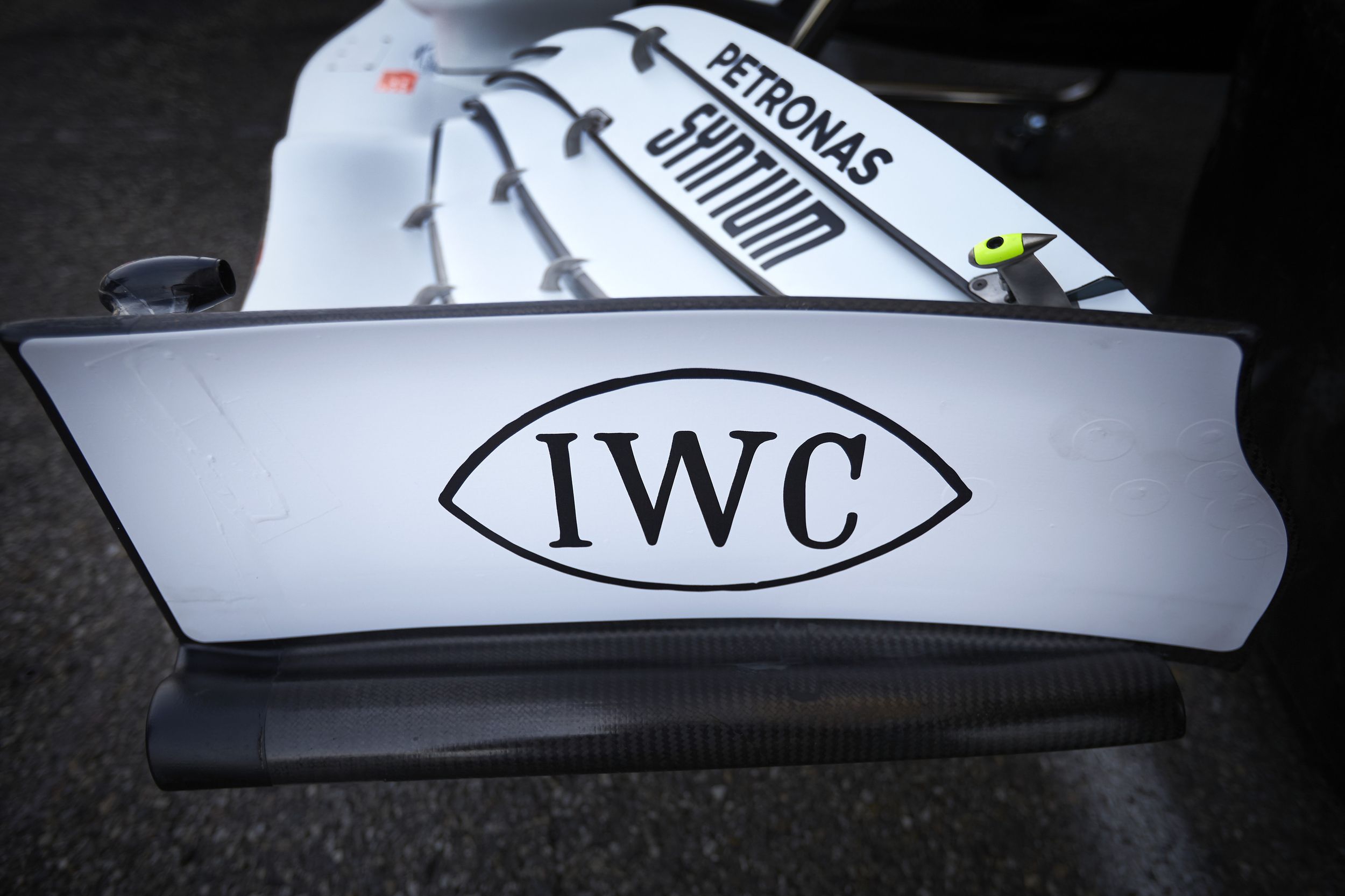 IWC special logo