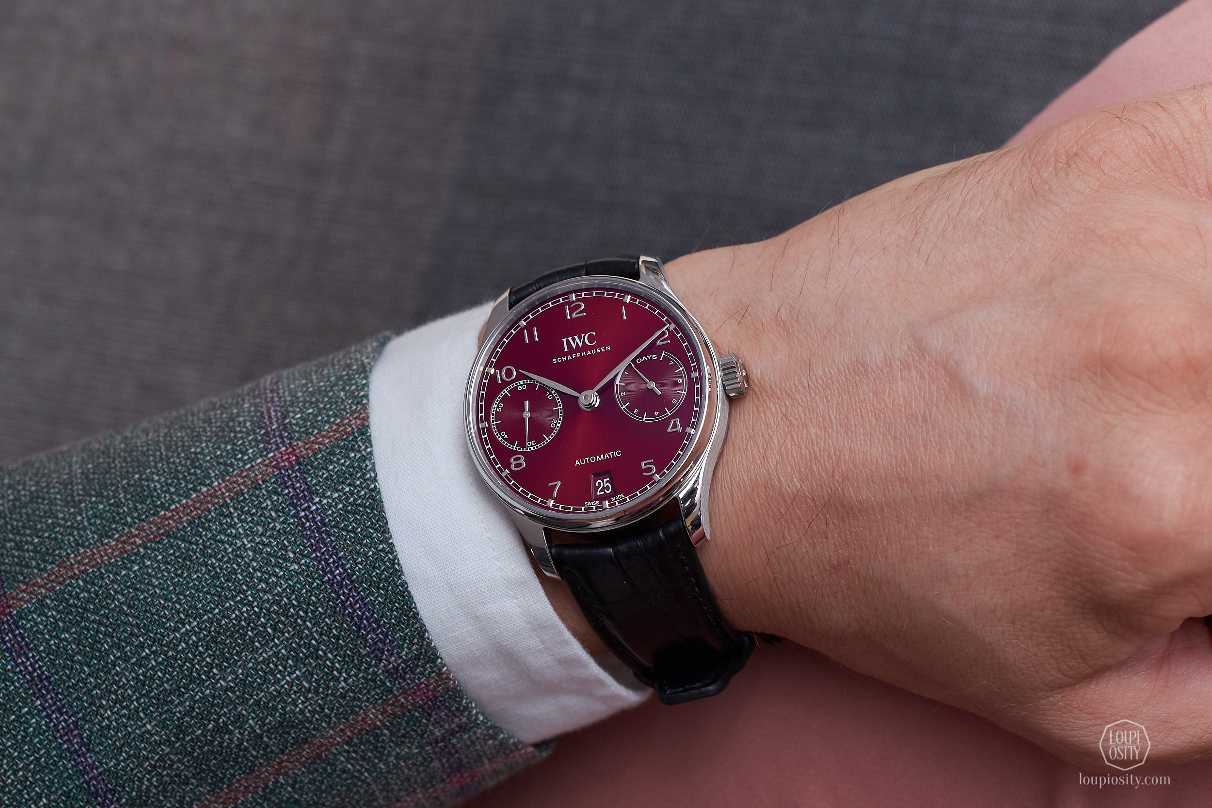 Portugieser Automatic, burgundy dial