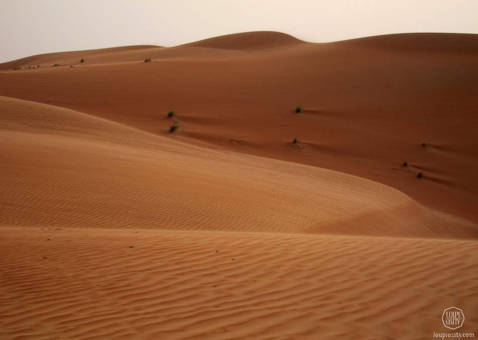 oman-342