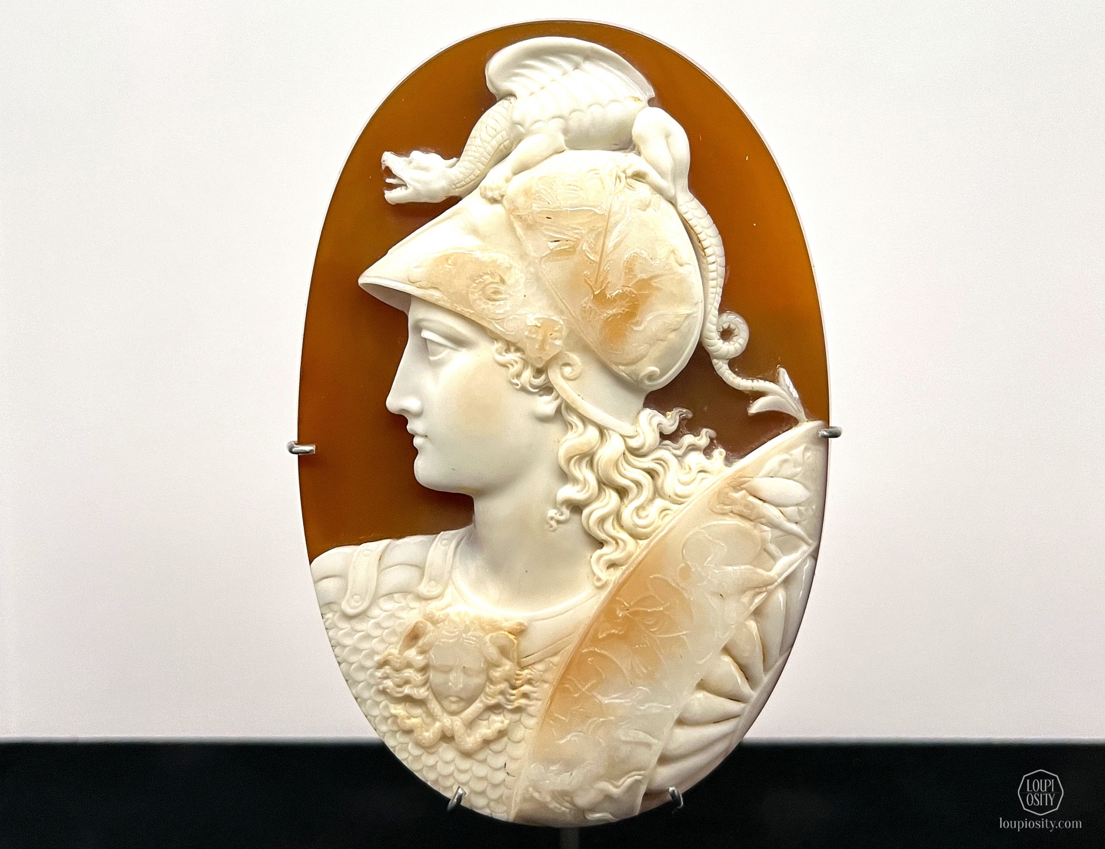 Sardonyx cameo, Minerva