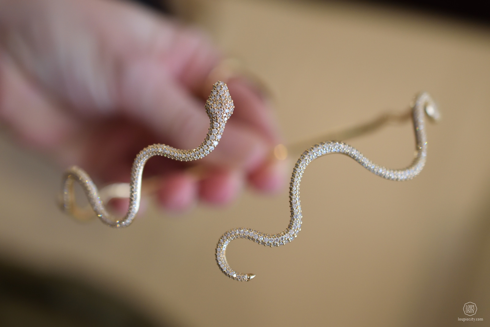 Snakes choker