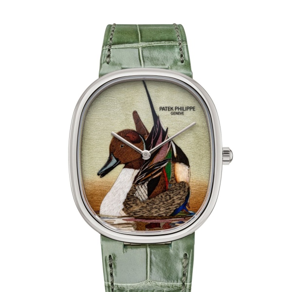 Golden Ellipse Ref. 5738/50G-047 (Northern Pintail)