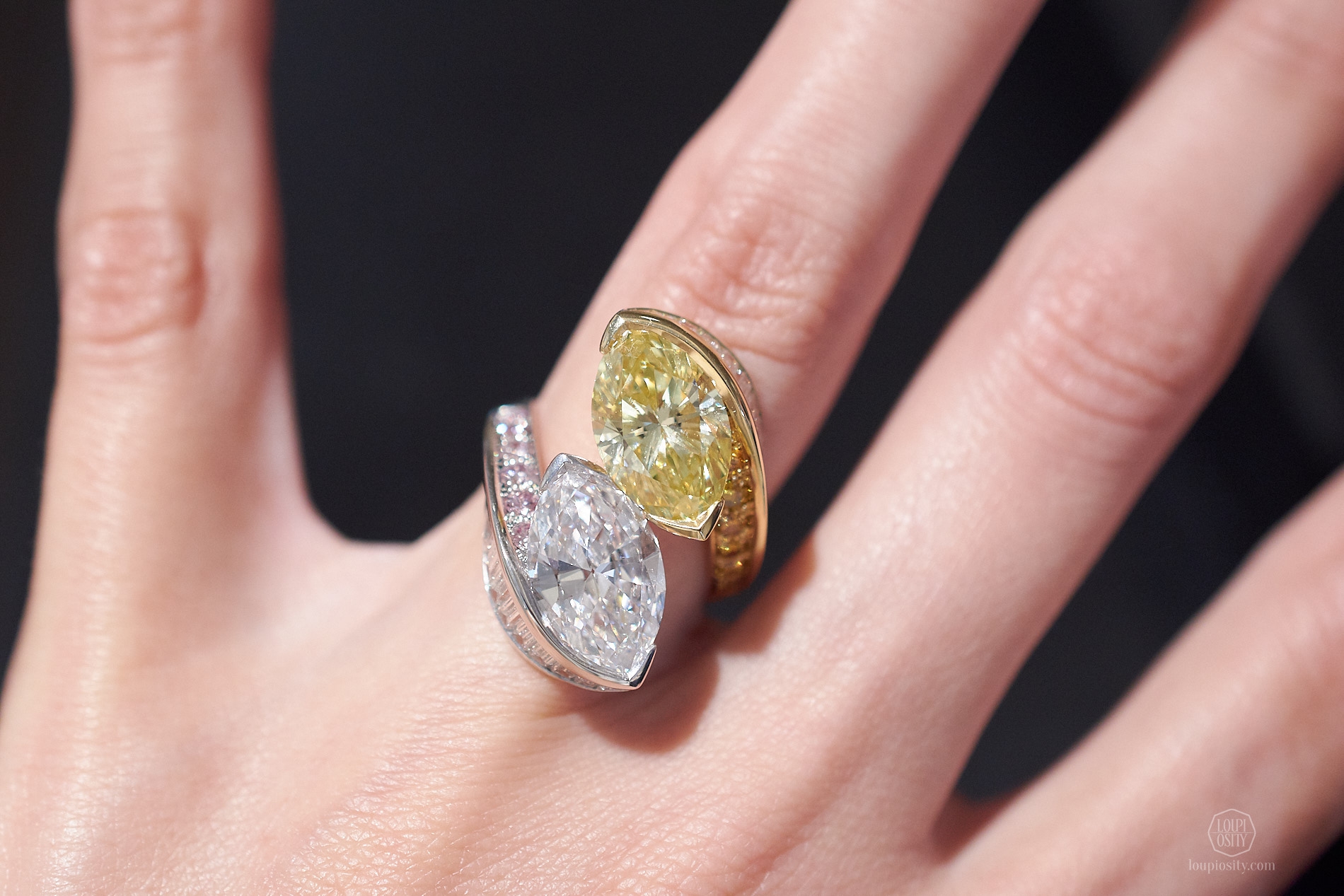 Double Swing ring