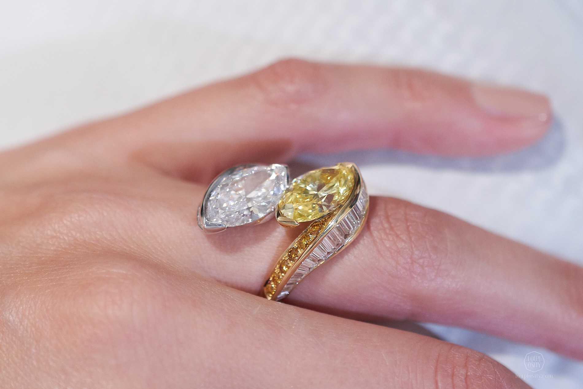 Double Swing ring