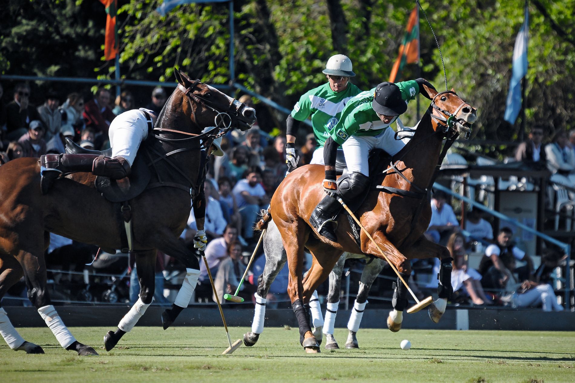 1tony-ramirez_images-of-polo_result