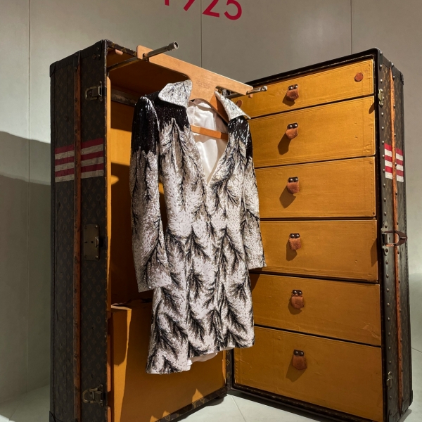 wardrobe trunk LV
