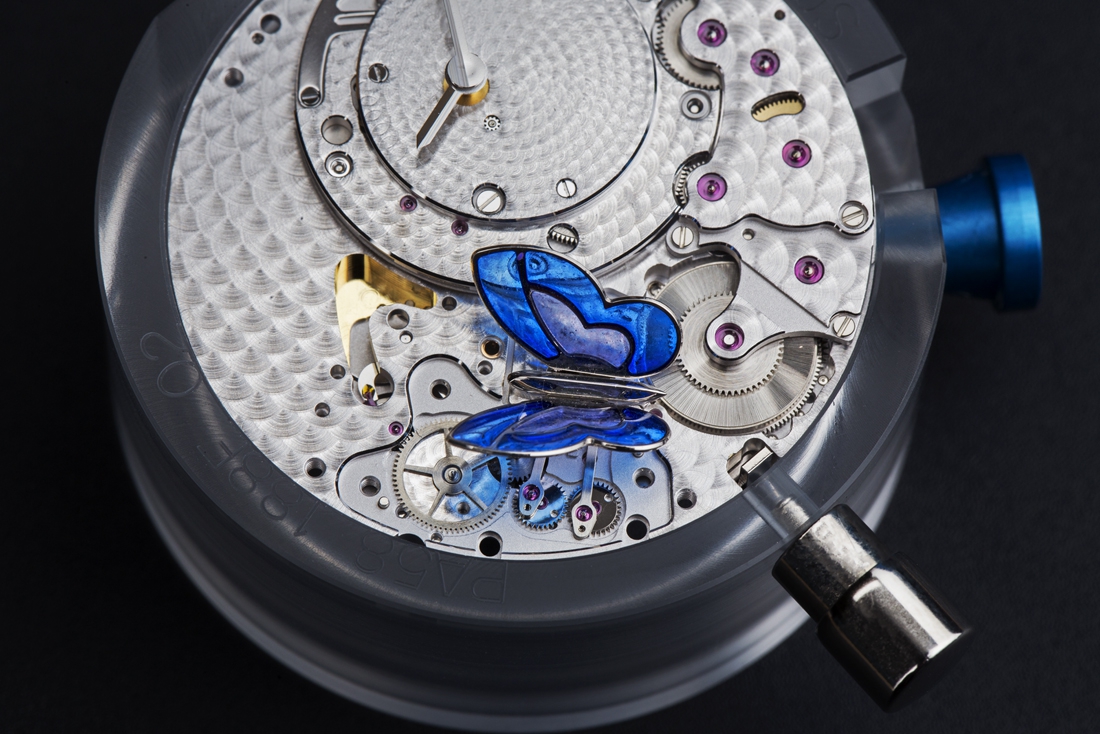 View of the movement with the butterfly