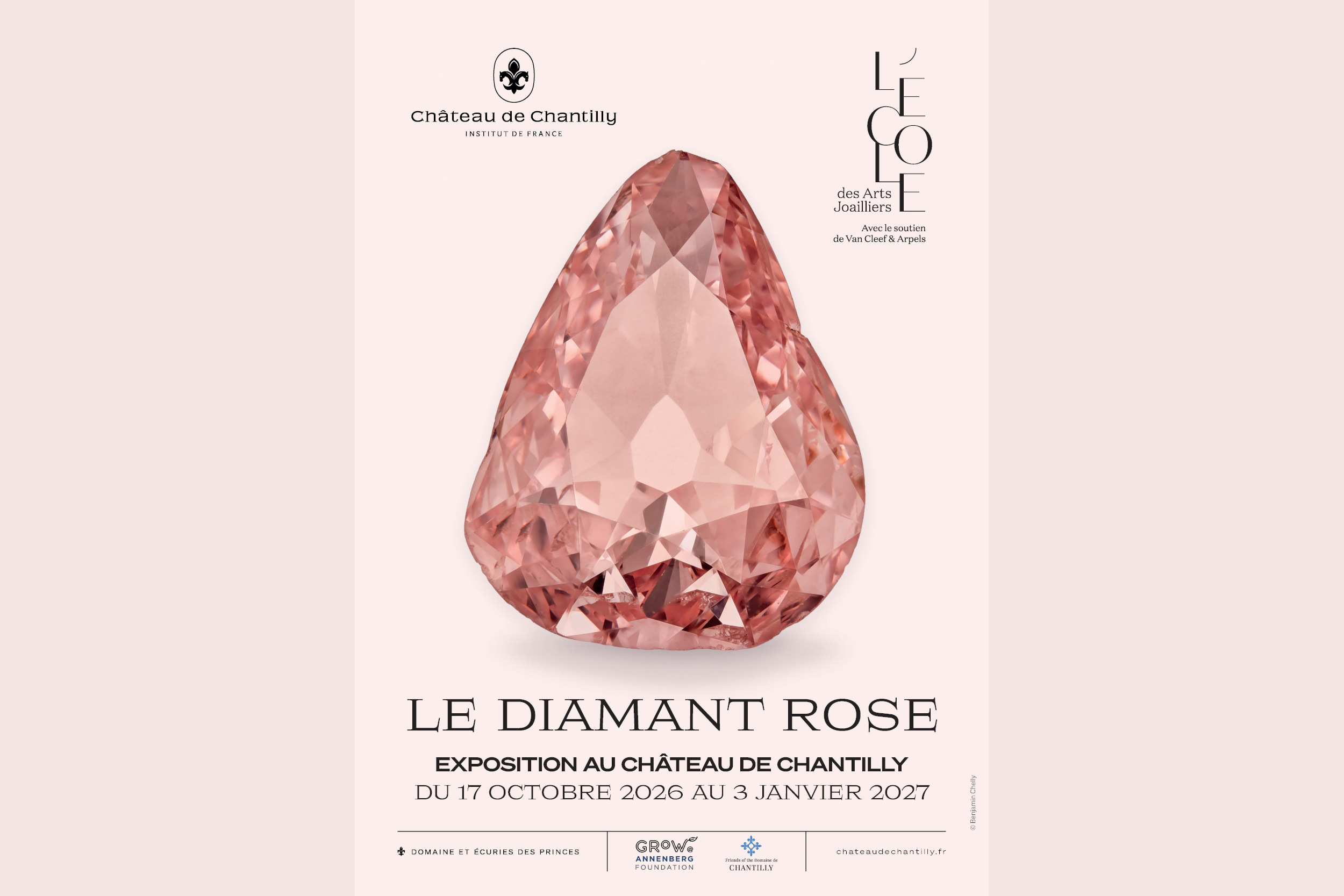 Exhibition “The Pink diamond”